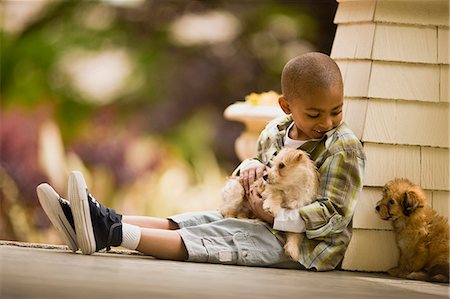 simsearch:6128-08767321,k - Smiling young boy sits on a porch holding one puppy and looking down at another puppy sitting next to him. Foto de stock - Royalty Free Premium, Número: 6128-08766973