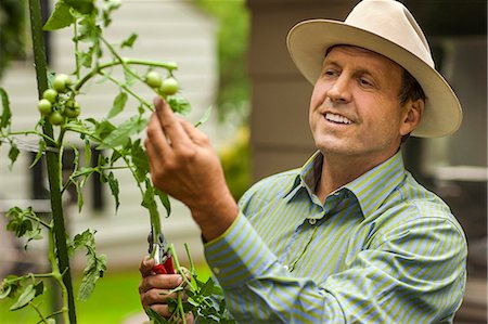 Man trimming plant. Stock Photo - Premium Royalty-Free, Code: 6128-08767122