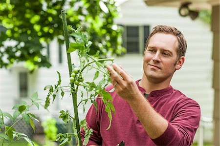 Man tending plant in garden. Stock Photo - Premium Royalty-Free, Code: 6128-08767127