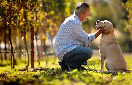 simsearch:6128-08780963,k - Mature man crouching next to his dog in the vineyard. Fotografie stock - Premium Royalty-Free, Codice: 6128-08780947