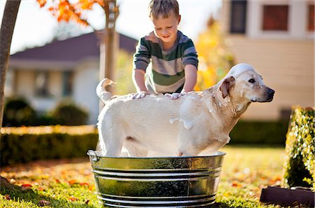 friends at home - Young boy washing his dog inside a tub in the backyard. Photographie de stock - Premium Libres de Droits, Code: 6128-08781025