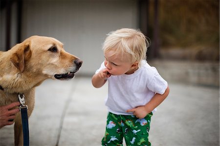 simsearch:614-03697070,k - Toddler looking at a dog. Fotografie stock - Premium Royalty-Free, Codice: 6128-08727442