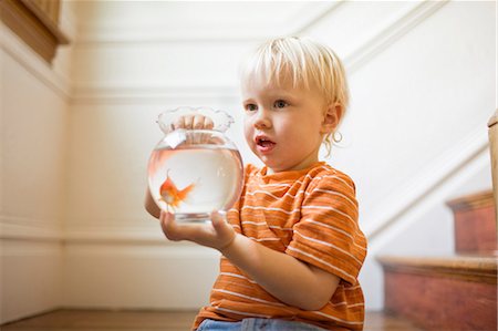 Toddler holding a goldfish bowl. Foto de stock - Sin royalties Premium, Código: 6128-08727448