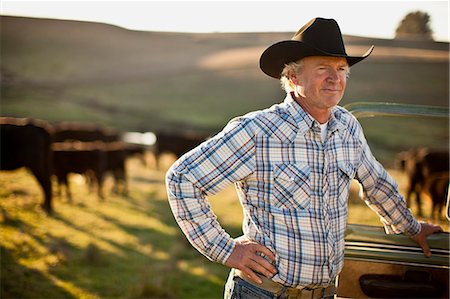 farmer 50s - Farmer checking his paddocks. Stock Photo - Premium Royalty-Free, Code: 6128-08737550