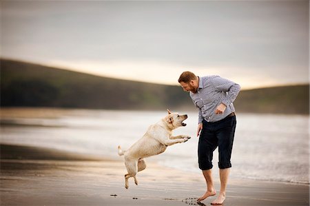 simsearch:6128-08737588,k - Mid-adult man playing with his dog at the beach. Photographie de stock - Premium Libres de Droits, Code: 6128-08737587