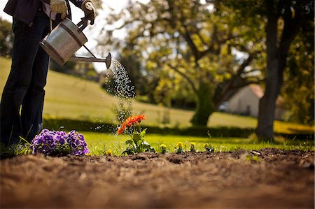 simsearch:6128-08737815,k - Senior woman watering colorful flowers in her backyard. Stock Photo - Premium Royalty-Free, Code: 6128-08737810