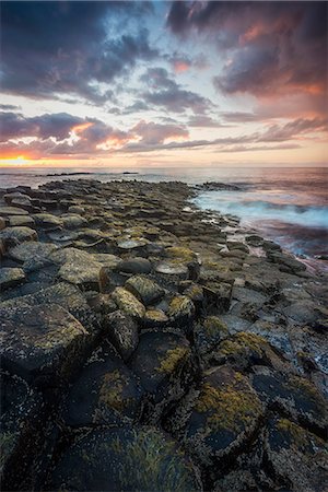 simsearch:862-08699371,k - Giant's Causeway, County Antrim, Ulster region, northern Ireland, United Kingdom. Iconic basalt columns. Stock Photo - Premium Royalty-Free, Code: 6129-09044159