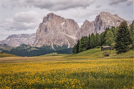 plattkofel - Alpe di Siusi/Seiser Alm, Dolomites, South Tyrol, Italy. Stockbilder - Premium RF Lizenzfrei, Bildnummer: 6129-09044171