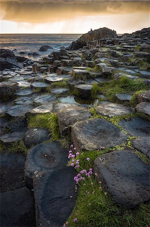 simsearch:6129-09044186,k - Giant's Causeway, County Antrim, Ulster region, northern Ireland, United Kingdom. Iconic basalt columns. Foto de stock - Sin royalties Premium, Código: 6129-09044177