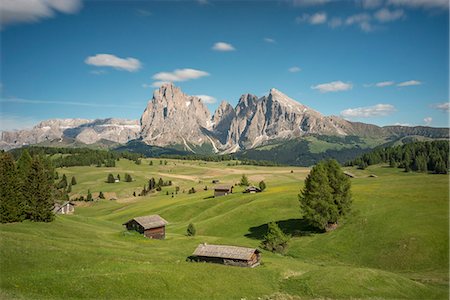 plattkofel - Alpe di Siusi/Seiser Alm, Dolomites, South Tyrol, Italy. Stockbilder - Premium RF Lizenzfrei, Bildnummer: 6129-09044175