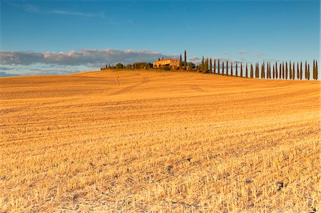 siena farmhouse - Europe,Italy,Siena district,Orcia Valley, San Quirico d'Orcia. Stock Photo - Premium Royalty-Free, Code: 6129-09044119