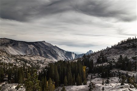 Yosemite national park, california, USA Photographie de stock - Premium Libres de Droits, Code: 6129-09044250