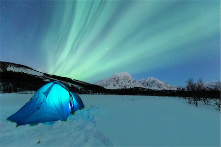 Camping with tent during a night with the Northern Lights. Svensby, Ullsfjorden, Lyngen Alps, Troms, Norway, Lapland, Europe. Foto de stock - Sin royalties Premium, Código: 6129-09044293