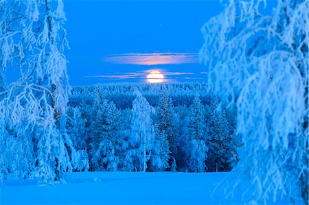 Lunar sunrise over the woods of Lapland. Hukanmaa/Kitkiojoki, Norbottens Ian, Lapland, Sweden,Europe Photographie de stock - Premium Libres de Droits, Code: 6129-09044308