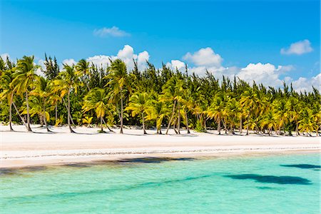 palm tree on the ocean - Juanillo Beach (playa Juanillo), Punta Cana, Dominican Republic. Stock Photo - Premium Royalty-Free, Code: 6129-09044551