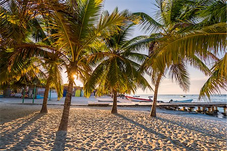 evening beach sunset - Mano Juan, Saona Island, East National Park (Parque Nacional del Este), Dominican Republic, Caribbean Sea. Foto de stock - Sin royalties Premium, Código: 6129-09044556