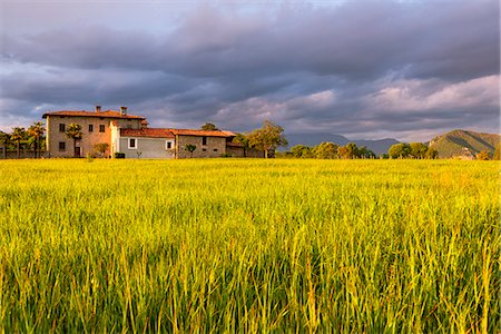 House at sunset in Franciacorta, Brescia province, Lombardy district, Italy, Europe. Photographie de stock - Premium Libres de Droits, Code: 6129-09044795