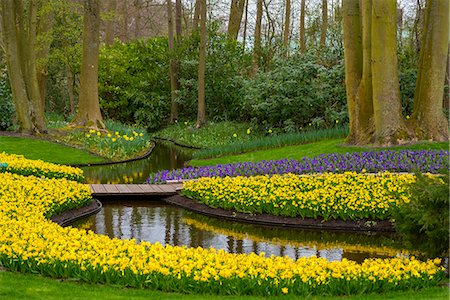 Keukenhof park in Lisse, Nederlands. Stock Photo - Premium Royalty-Free, Code: 6129-09044703
