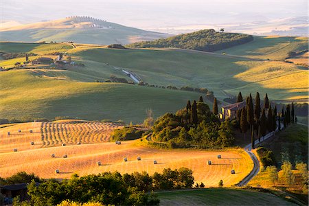 podere belvedere - Belvedere Farmhouse at dawn, San Quirico d'Orcia, Orcia Valley, Siena province, Italy, Europe. Foto de stock - Royalty Free Premium, Número: 6129-09044803