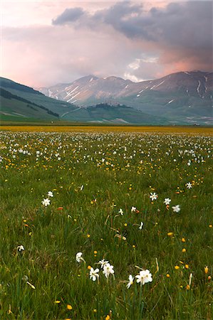 simsearch:6129-09057574,k - Europe,Italy, Umbria, Perugia district, Sibillini mountains, Castelluccio of Norcia village at sunset Photographie de stock - Premium Libres de Droits, Code: 6129-09057559