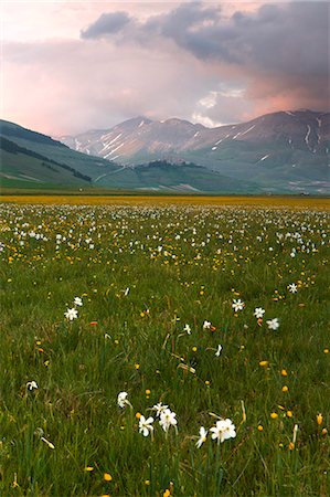 simsearch:6129-09086830,k - Europe,Italy, Umbria, Perugia district, Sibillini mountains, Castelluccio of Norcia village at sunset Photographie de stock - Premium Libres de Droits, Code: 6129-09057559