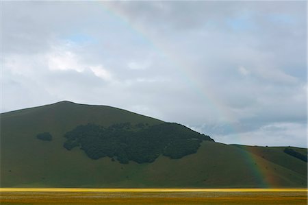 simsearch:6129-09057574,k - Europe,Italy,Umbria,Perugia district,Castelluccio of Norcia during flowering of narcissus Photographie de stock - Premium Libres de Droits, Code: 6129-09057566