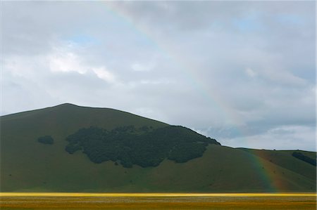 simsearch:6129-09044808,k - Europe,Italy,Umbria,Perugia district,Castelluccio of Norcia during flowering of narcissus Stock Photo - Premium Royalty-Free, Code: 6129-09057566