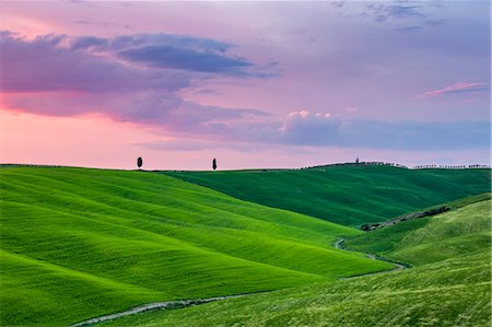 simsearch:879-09043430,k - Cypresses at sunset in Orcia Valley. Siena district, Tuscany, Italy. Foto de stock - Sin royalties Premium, Código: 6129-09057682