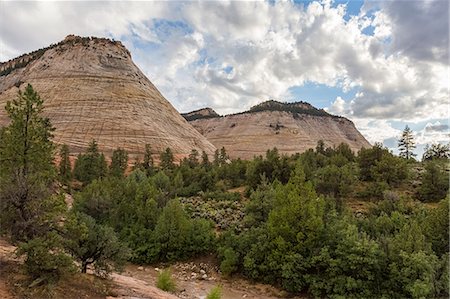 Landscape from Zion Canyon Scenic Drive. Zion National Park, Hurricane, Washington County, Utah, USA. Photographie de stock - Premium Libres de Droits, Code: 6129-09057765