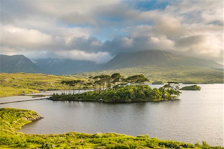 simsearch:6129-09057793,k - Pine Island on Derryclare Lake. Connemara, Co. Galway, Connacht province, Ireland. Foto de stock - Sin royalties Premium, Código: 6129-09057792