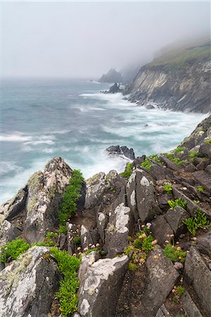 slea head - Slea Head, Dingle Peninsula, County Kerry, Munster region, Republic of Ireland, Europe. Foto de stock - Sin royalties Premium, Código: 6129-09057795