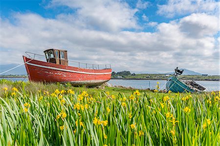 flowers - Wooden fishing boats in Roundstone. Co. Galway, Connacht province, Ireland. Stock Photo - Premium Royalty-Free, Code: 6129-09057796