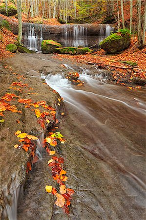 simsearch:6129-09057994,k - Casentinesi forest, Tuscan Apennines, Italy. A waterfall into the national park in autumn Photographie de stock - Premium Libres de Droits, Code: 6129-09057802