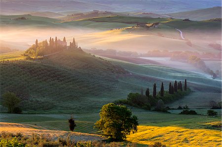 Podere Belvedere, province of Siena, San Quirico d'Orcia, Tuscany, Italy. Photographie de stock - Premium Libres de Droits, Code: 6129-09058075