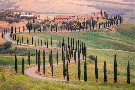 simsearch:6129-09044109,k - Val d'Orcia, Tuscany, Italy Stock Photo - Premium Royalty-Free, Code: 6129-09058225