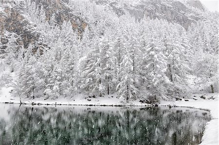 snow blizzard - Chisone Valley (Valle Chisone), Turin province, Piedmont, Italy, Europe. Blizzard landscapes into Piedmont mountains Stock Photo - Premium Royalty-Free, Code: 6129-09086717