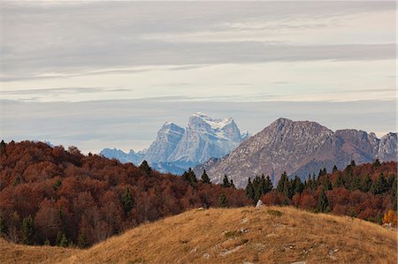 Pelmo Mount from Col dei S'cios, Cansiglio Forest, Veneto, Italy. Foto de stock - Royalty Free Premium, Número: 6129-09086725