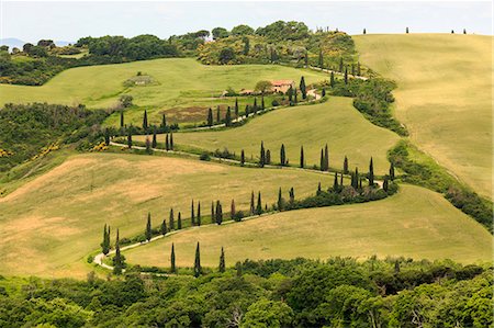 Tuscany, provence of Siena, La Foce at Tuscany hills, Italy Foto de stock - Sin royalties Premium, Código: 6129-09086955