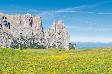 schlern - Alpe di Siusi/Seiser Alm, Dolomites, South Tyrol, Italy. Stock Photo - Premium Royalty-Free, Code: 6129-09086904