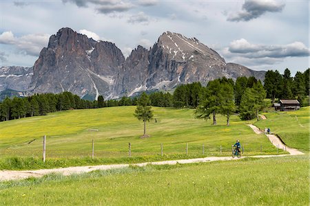 seiser alm - Alpe di Siusi/Seiser Alm, Dolomites, South Tyrol, Italy. Foto de stock - Sin royalties Premium, Código: 6129-09086905