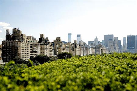 Gratte-ciels derrière les arbres, New York City, New York State, USA Photographie de stock - Premium Libres de Droits, Code: 625-00804423