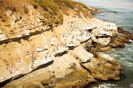 simsearch:625-00804961,k - Vue panoramique d'une falaise dans les récifs de La Jolla, La Jolla, San Diego, Californie, USA Photographie de stock - Premium Libres de Droits, Code: 625-00804499