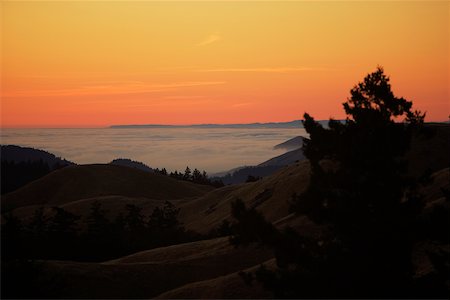 simsearch:625-00805213,k - Vue d'angle élevé des nuages autour d'une colline, mont Tamalpais State Park, Californie, USA Photographie de stock - Premium Libres de Droits, Code: 625-00805115