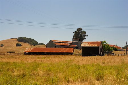 Barn in a field Stock Photo - Premium Royalty-Free, Code: 625-00805225