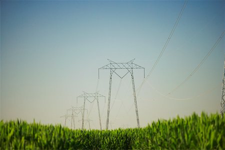 simsearch:633-01274106,k - Low angle view of an electricity pylon in a farm Stock Photo - Premium Royalty-Free, Code: 625-00805283