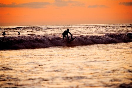 surfer at sunrise - Side profile of a person surfing, San Diego, California, USA Stock Photo - Premium Royalty-Free, Code: 625-00805421