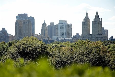 simsearch:625-01093283,k - Skyscrapers behind trees, New York City, New York State, USA Foto de stock - Sin royalties Premium, Código: 625-00805536