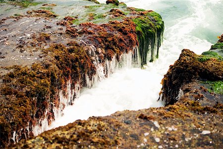 simsearch:625-00804353,k - High angle view of water flowing over a rock formation, La Jolla Reefs, San Diego Bay, California, USA Foto de stock - Sin royalties Premium, Código: 625-00805609