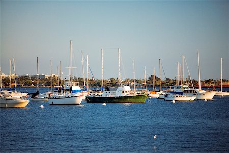 Yacht's docked at a harbor, San Diego Bay, California, USA Stock Photo - Premium Royalty-Free, Code: 625-00805729