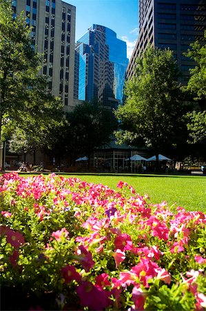 skyscraper nature - Flowers in a park, Norman Leventhal park, Boston, Massachusetts, USA Stock Photo - Premium Royalty-Free, Code: 625-00806051